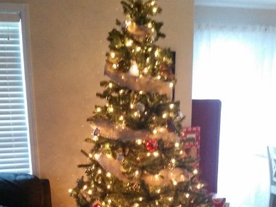 Mike and Court House and Reno